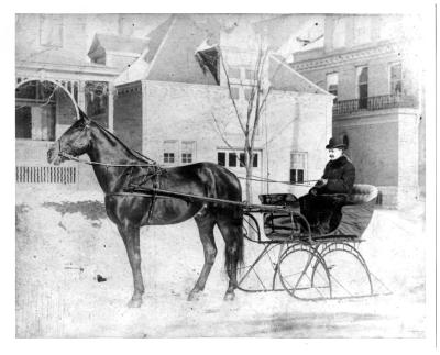 Beautiful dark horse poses with a guy on a sleigh.